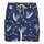 Oblečenie Muž Plavky  Polo Ralph Lauren MAILLOT DE BAIN A RAYURES EN SEERSUCKER Viacfarebná