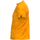 Oblečenie Muž Tričká s krátkym rukávom Joma Explorer Tee Žltá