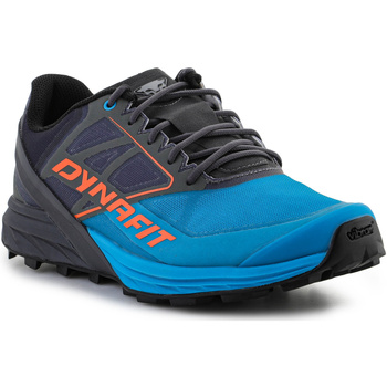 Topánky Muž Bežecká a trailová obuv Dynafit Alpine 64064-0752 Magnet/Frost Viacfarebná