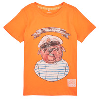 Oblečenie Chlapec Tričká s krátkym rukávom Name it NKMTOLE SS TOP PS Oranžová