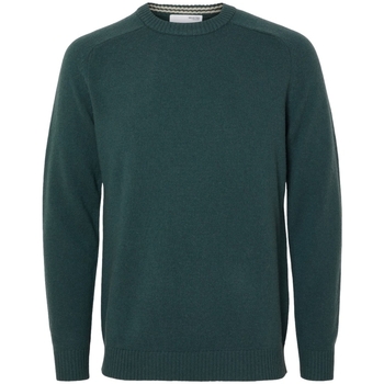 Oblečenie Muž Svetre Selected Noos New Coban Knit - Green Gables/Kelp Zelená