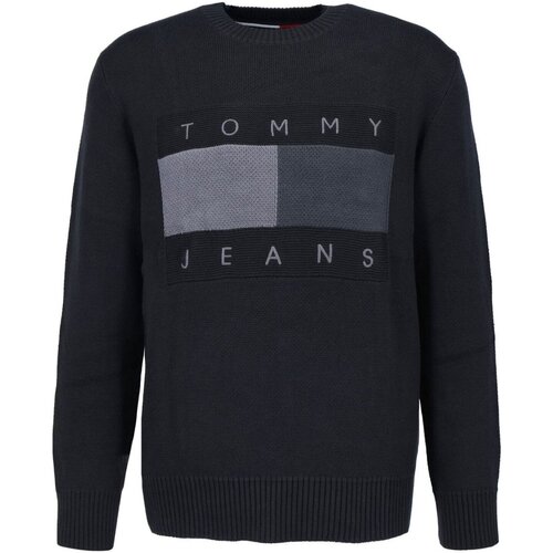 Oblečenie Muž Svetre Tommy Jeans DM0DM17773 Čierna