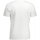 Oblečenie Muž Tričká s krátkym rukávom Timberland TB0A2C6S Biela