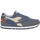 Topánky Muž Bežecká a trailová obuv Diadora 60071 N92 Modrá