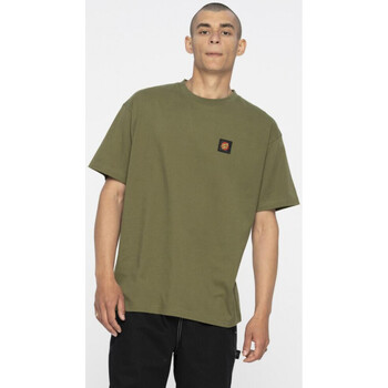 Oblečenie Muž Tričká a polokošele Santa Cruz Classic label t-shirt Zelená