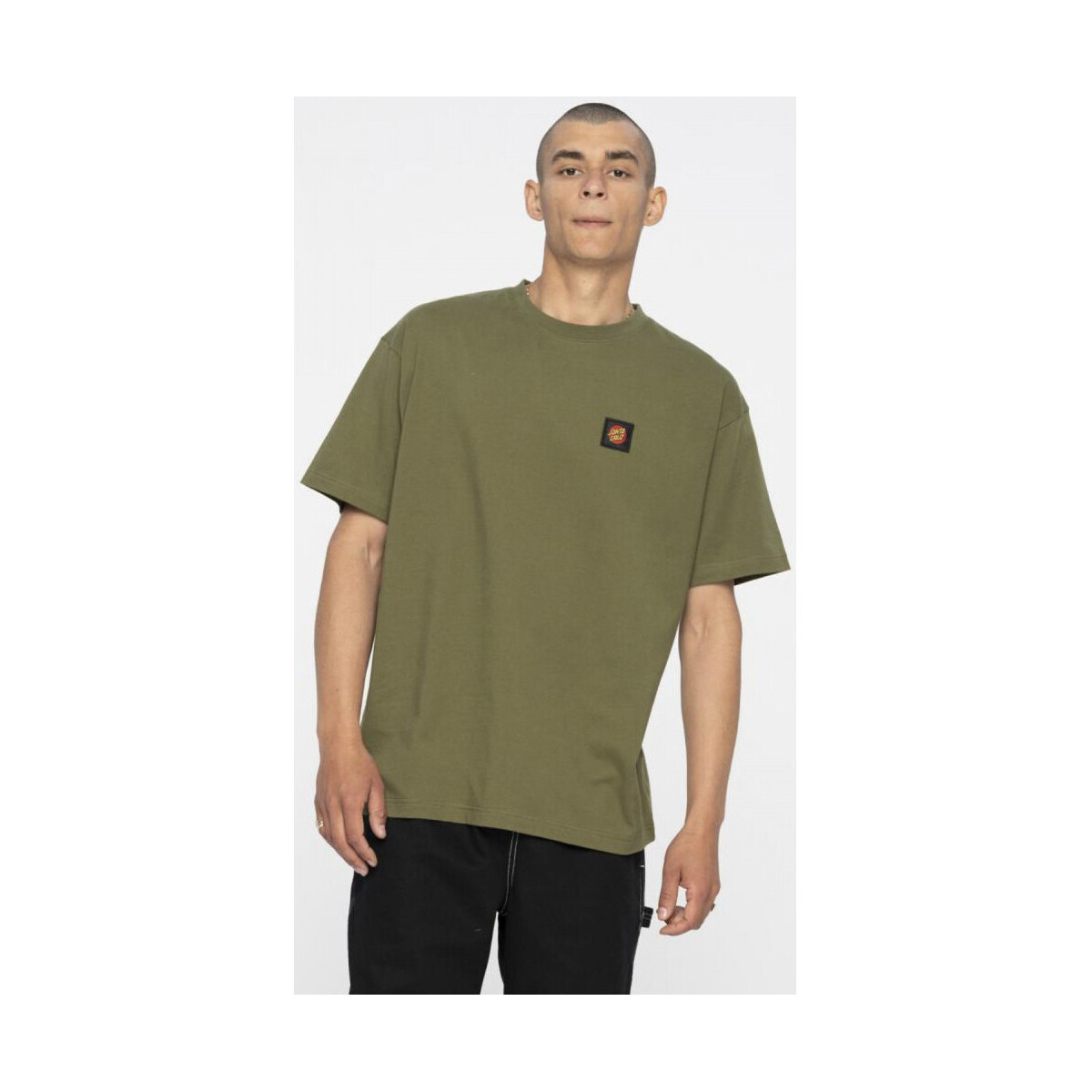 Oblečenie Muž Tričká a polokošele Santa Cruz Classic label t-shirt Zelená