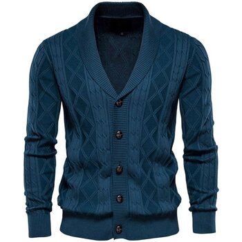 Oblečenie Muž Cardigany Atom Y168_Dark_blue Modrá