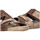 Topánky Muž Sandále Arizona 69418 Hnedá