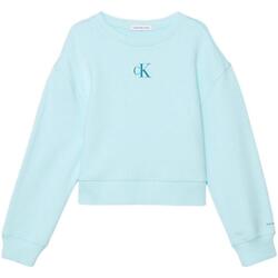 Oblečenie Dievča Mikiny Calvin Klein Jeans  Modrá