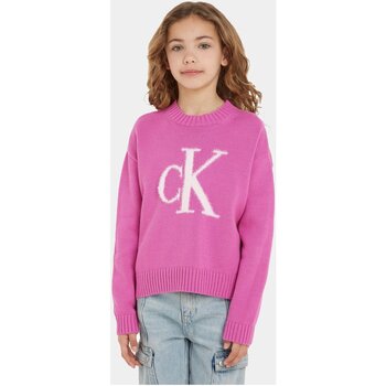 Oblečenie Deti Tričká a polokošele Calvin Klein Jeans IG0IG02220 Fialová 