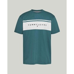 Oblečenie Muž Tričká s krátkym rukávom Tommy Hilfiger DM0DM18658CT0 Zelená