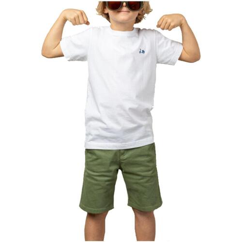 Oblečenie Chlapec Tričká s krátkym rukávom Scotta  Biela