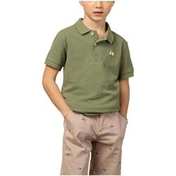 Oblečenie Chlapec Tričká s krátkym rukávom Scotta  Zelená