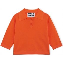 Oblečenie Žena Svetre Wild Pony Knit 10604 - Orange Oranžová