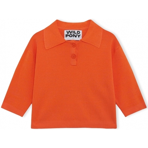 Oblečenie Žena Svetre Wild Pony Knit 10604 - Orange Oranžová