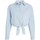 Oblečenie Žena Košele a blúzky Tommy Jeans CAMISA MUJER   DW0DW17520 Modrá