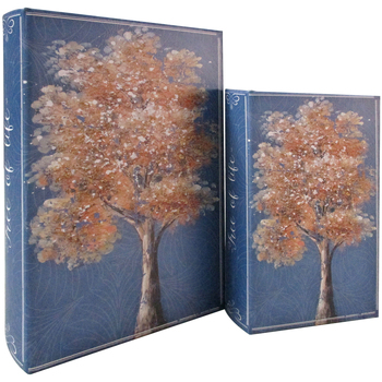 Signes Grimalt 2U Tree Book Box Modrá