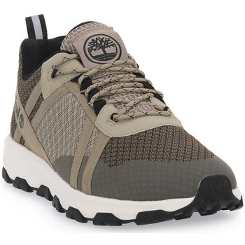 Timberland EAB WINSOR TRAIL LOW LACE UP Hnedá