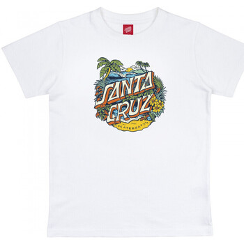 Oblečenie Deti Tričká a polokošele Santa Cruz Youth aloha dot front Biela