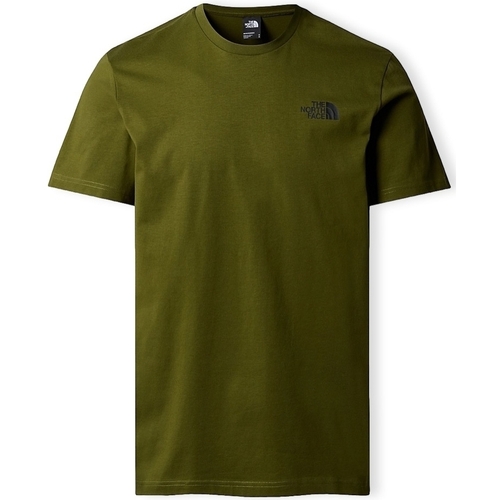 Oblečenie Muž Tričká a polokošele The North Face Redbox Celebration T-Shirt - Forest Olive Zelená