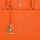Tašky Žena Veľké nákupné tašky  U.S Polo Assn. BEUJE5697WVP-ORANGE Oranžová