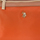 Tašky Žena Tašky cez rameno U.S Polo Assn. BIUHU4920WIP-ORANGE Oranžová