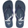 Topánky Muž Šľapky Calvin Klein Jeans YM0YM00952 Modrá