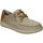 Topánky Muž Derbie & Richelieu Skechers 210116-TPE Béžová