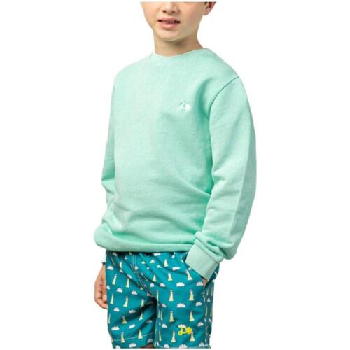 Oblečenie Chlapec Mikiny Scotta  Zelená