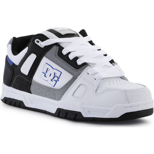 Topánky Muž Nízke tenisky DC Shoes Stag 320188-HYB Viacfarebná