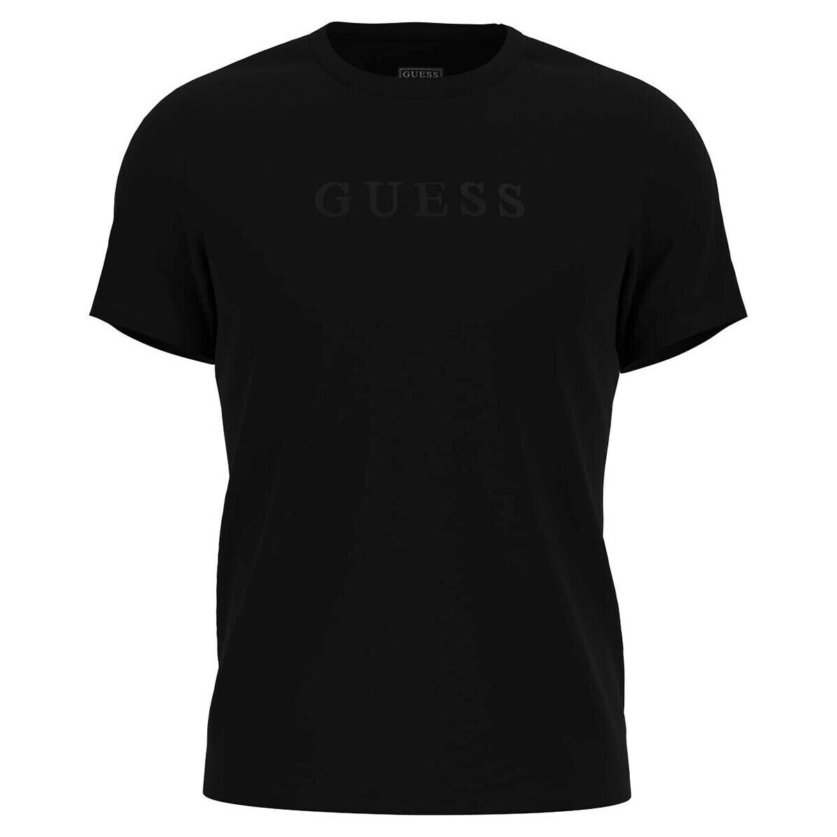Oblečenie Muž Tričká s krátkym rukávom Guess  Viacfarebná