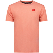 SY1363HGN-Coral