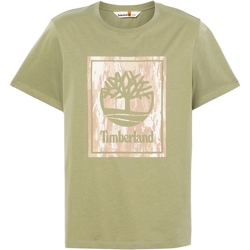 Oblečenie Muž Tričká s krátkym rukávom Timberland 236610 Zelená