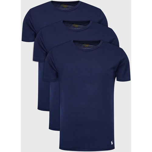 Oblečenie Muž Tričká s krátkym rukávom Ralph Lauren 714830304 Modrá