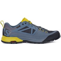 Topánky Muž Bežecká a trailová obuv Salomon X Alp Spry Gtx Žltá, Modrá