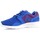 Topánky Muž Nízke tenisky Nike Mens  Kaishi Print 705450-446 Modrá